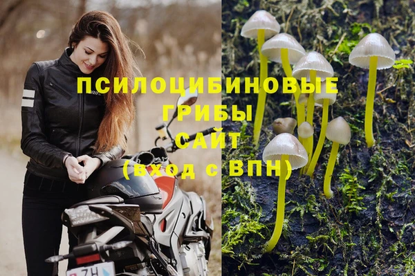 apvp Богданович