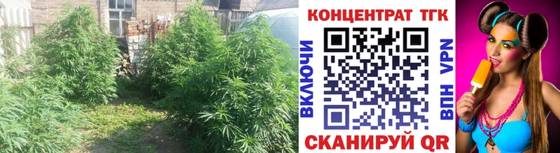 наркотики  Бронницы  ТГК THC oil 