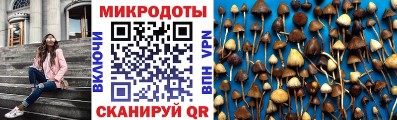 где можно купить   KRAKEN сайт  Псилоцибиновые грибы Psilocybine cubensis  Бронницы 